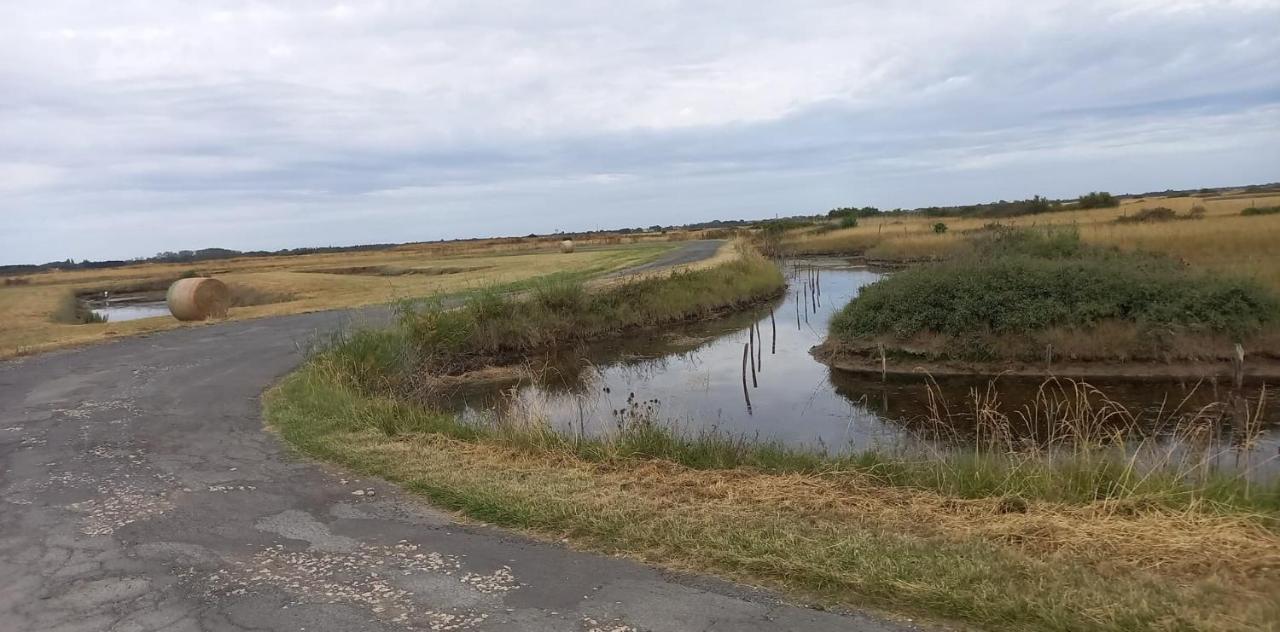 En Plein Coeur De L'Ile D'Oleron, Suite Parentale. Dolus d'Oléron Exteriör bild